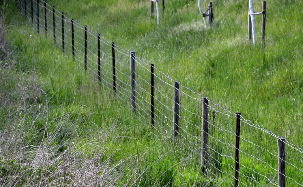 Deer Fencing Garden Mesh