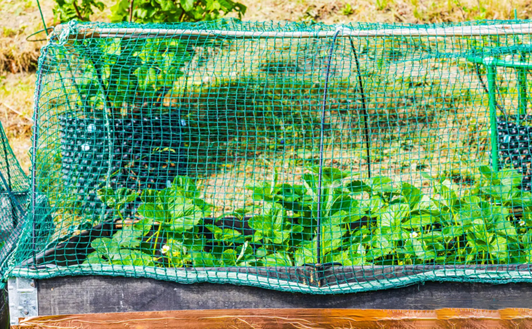 Rodent & Pest Exclusion Garden Net