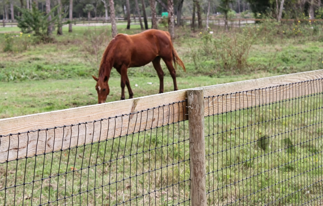 Welded Wire Animal & Livestock Enclosure Fencing