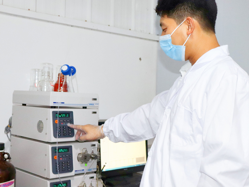 Corporate-Capabilities2