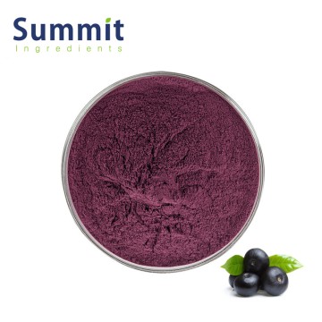 100% Pure Natural Acai Berry Powder For Flavor Food