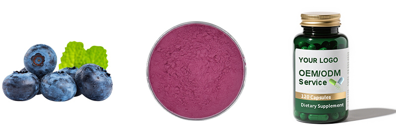 Blueberry Powder