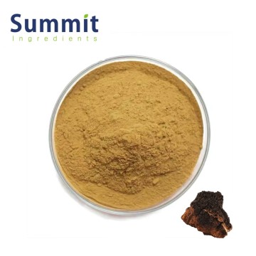 High Quality Chaga Mushroom Extract for Functional Food