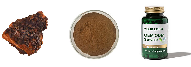 Chaga Mushroom Extract
