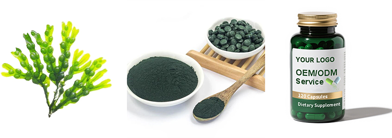 Chlorella Powder Powder