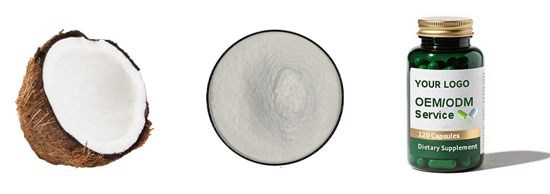 Coconut Water Powder