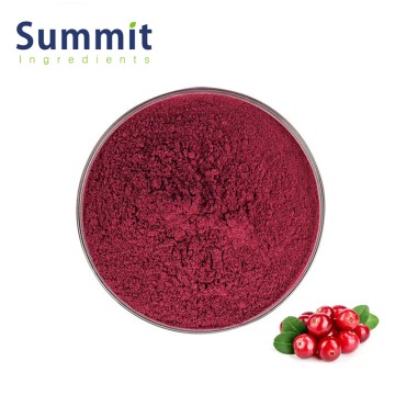 High Quality Cranberry Extract for Health Food