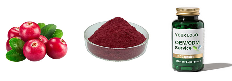 Cranberry Extract