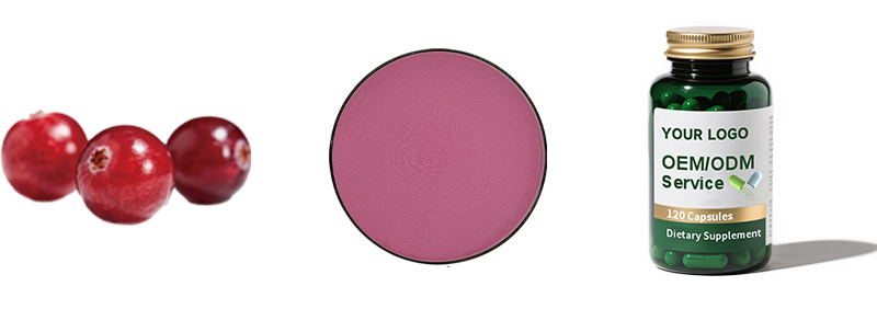 Cranberry Powder