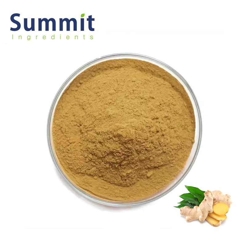 Ginger Extract 1.jpg