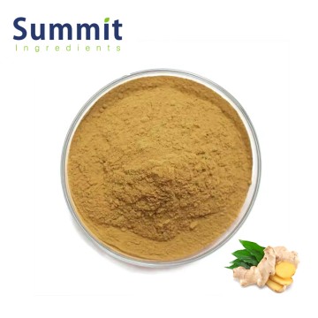 Ginger Extract Powder for Dietary Supplements