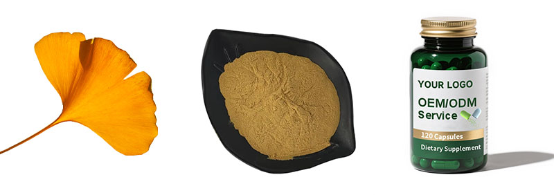Ginkgo Biloba Extract