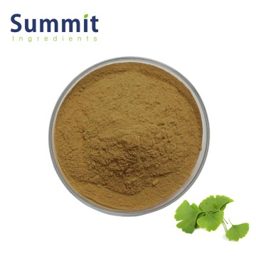Food-Grade Ginkgo Biloba Extract Powder 
