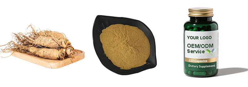 Ginseng Extract