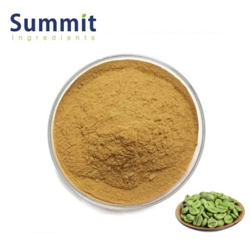 Food Grade Pure Green Coffee Bean Extract 50% Chlorogenic Acids