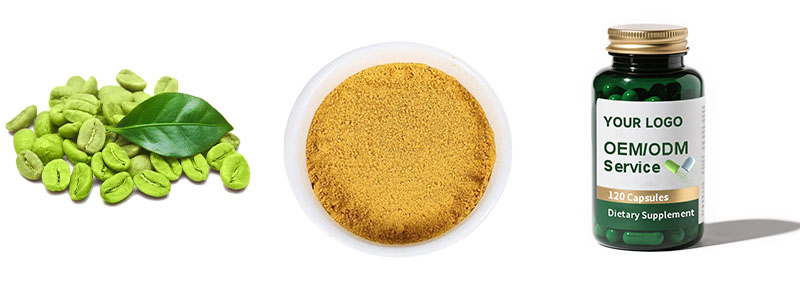 Green Coffee Bean Extract