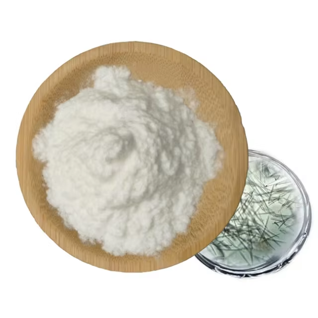 Hydrolyzed Sponge 2.png