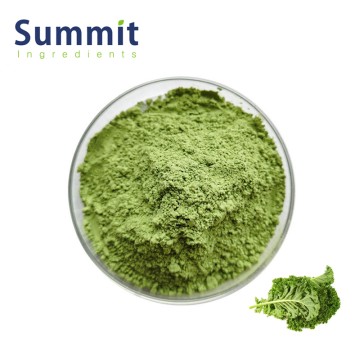 Kale Powder Water-soluble Pure Natural Kale Extract