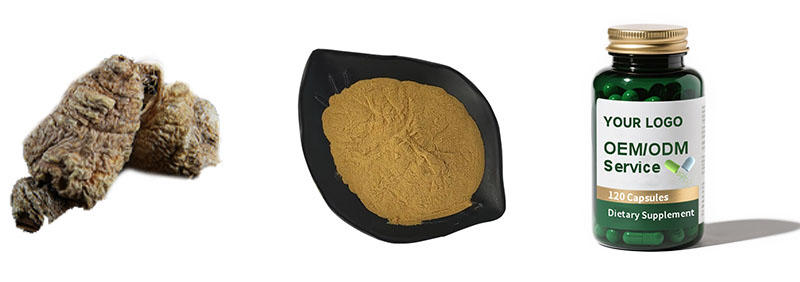 Maca Extract