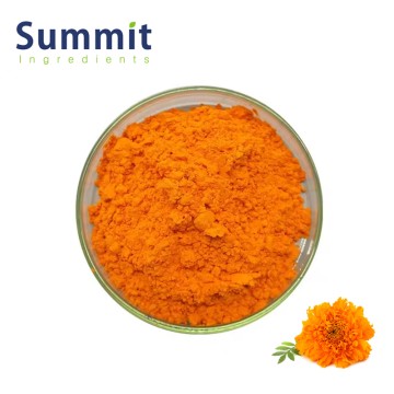 High Purity 5% 10% 20% Lutein Marigold Extract Powder for Eye Health Supplements