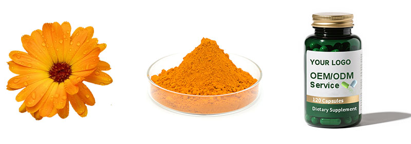 Marigold Extract