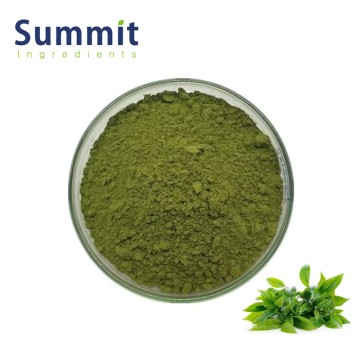 Factory Price High Quality Matcha Powder Bulk Wholesale
