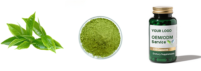 Matcha Powder