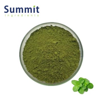 Food Grade Mint Powder for Beverage & Confectionery
