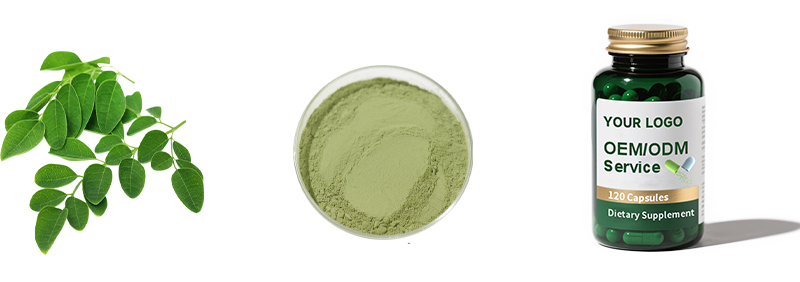 Moringa Leaf Powder