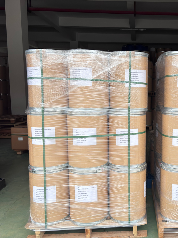 product-description03