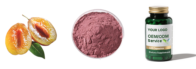 Prune Powder