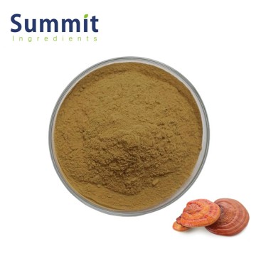 50% Polysaccharides Reishi Mushroom Extract for Immunity & Stress Relief