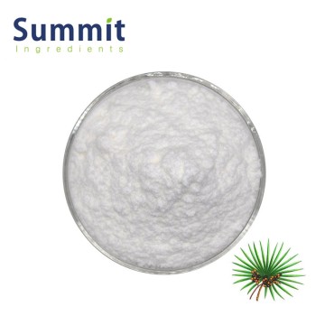 High Quality Pure Natural Saw Palmetto Extract