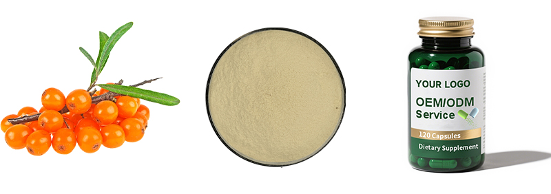 Sea Buckthorn Powder