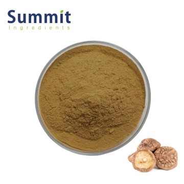 Pure Natural Bulk Shiitake Mushroom Extract