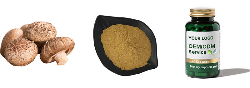 Shiitake Mushroom Extract