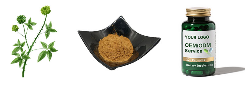 Siberian Ginseng Extract