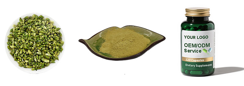 Sophora Japonica Extract