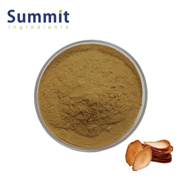 Pure Natural Bulk Tongkat Ali Extract for Healthcare