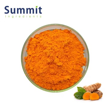 Premium Turmeric Extract with 95% Curcuminoids