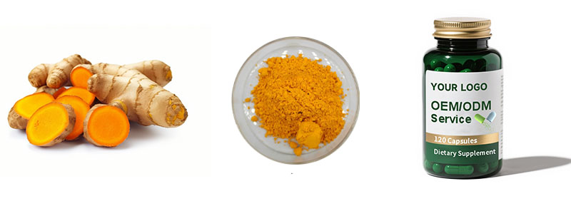 Turmeric Extract