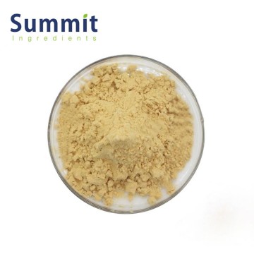 Premium Urolithin A Support Cellular Health