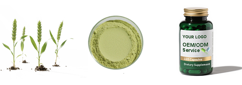 Wheat Grass Powder