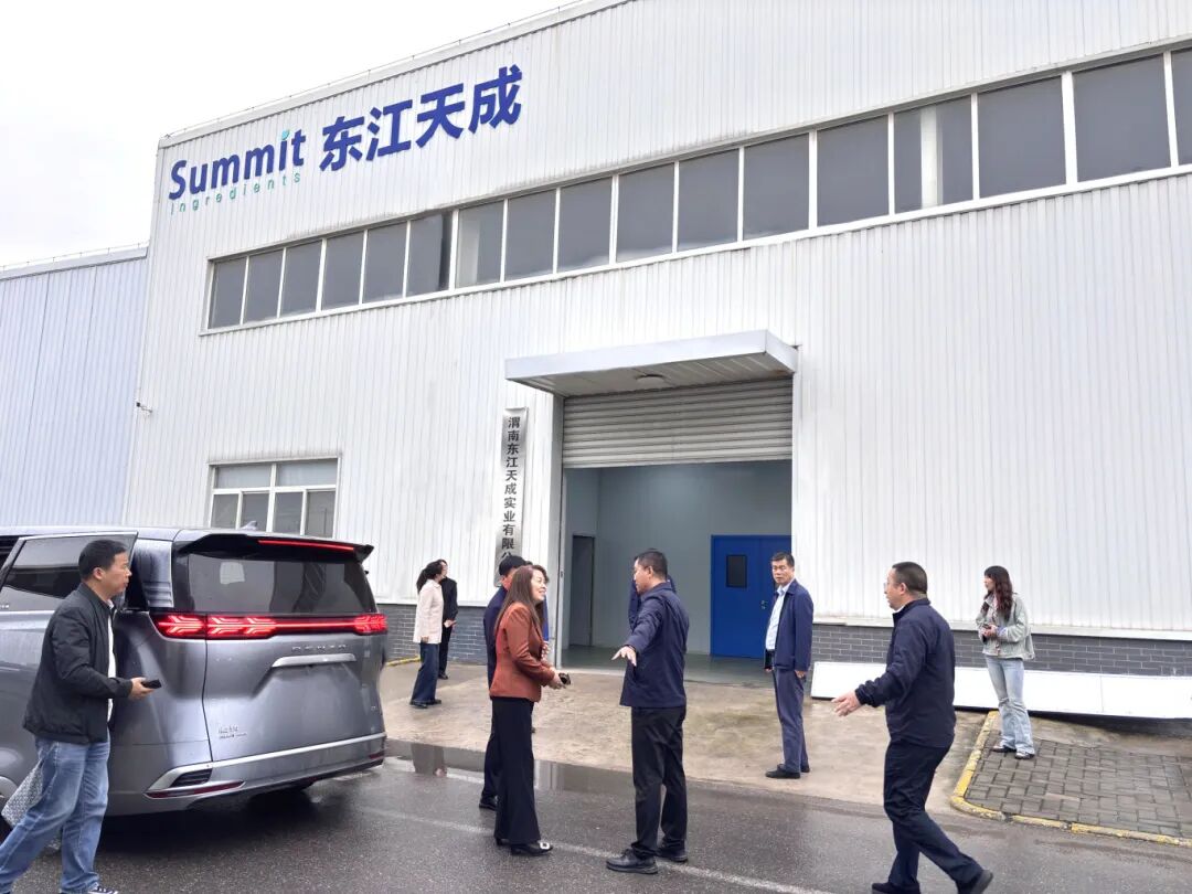 Breaking News! VP Fan Daidi of Northwest University Leads Xi'an Giant Biogene Technology Co., Ltd Team to Visit Summit Ingredients Co., Ltd, Exploring New Opportunities in the Health Industry
