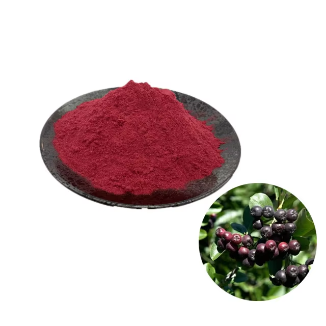 Aronia Powder 2.png