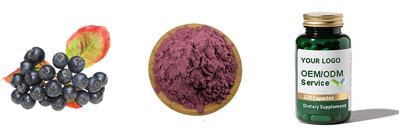 Aronia Powder