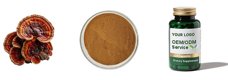 Coriolus Versicolor Extract
