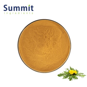 High Quality Dandelion Extract for Functional Foods