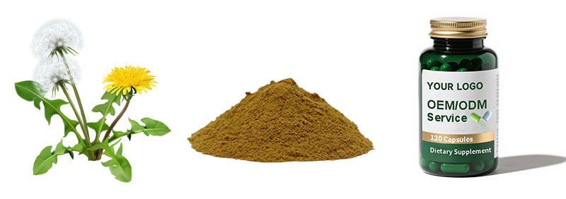 Dandelion Extract