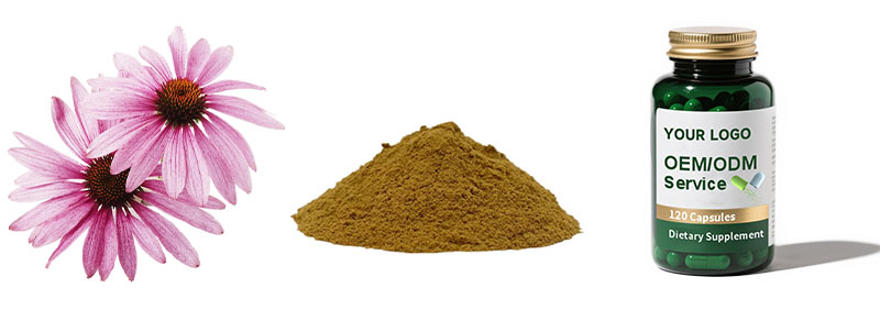 Echinacea Extract